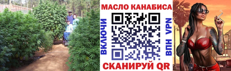 Дистиллят ТГК THC oil  Купить закладки  Рошаль 